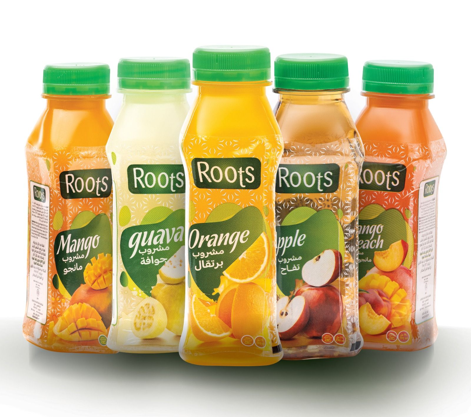 Roots Juice 290 ml 5 packs